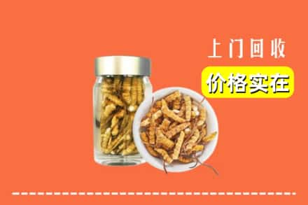 收购资讯:河池市罗城回收散虫草