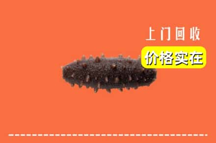 收购资讯:河池市罗城回收海参