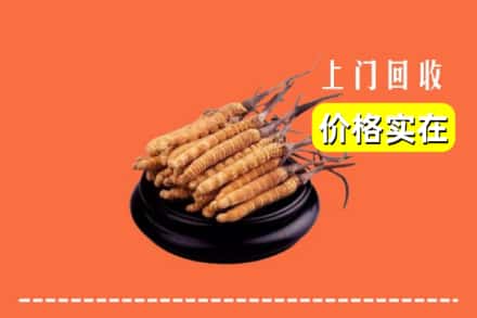 河池市罗城回收冬虫夏草